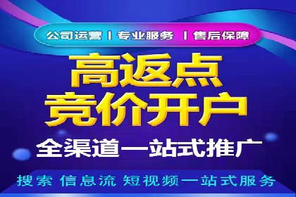 百度SEO推广公司案例分享：实战优化策略解析